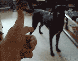 DIE