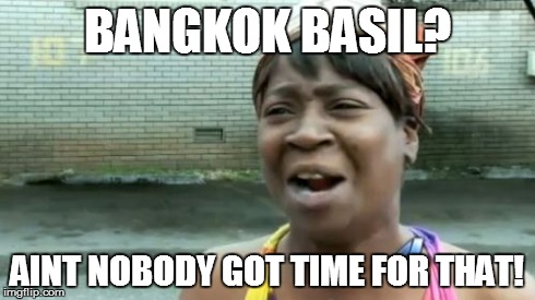 Ain't Nobody Got Time For That Meme | BANGKOK BASIL? AINT NOBODY GOT TIME FOR THAT! | image tagged in memes,aint nobody got time for that | made w/ Imgflip meme maker