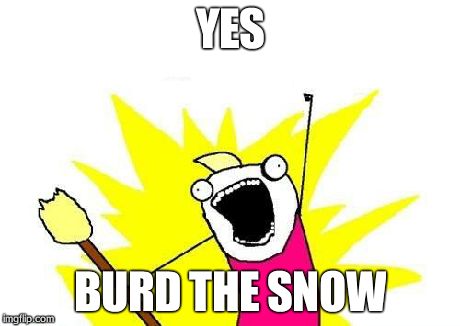 X All The Y Meme | YES BURD THE SNOW | image tagged in memes,x all the y | made w/ Imgflip meme maker