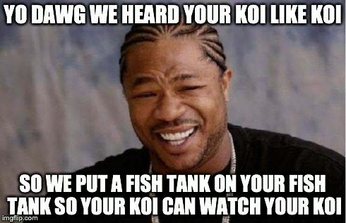 Yo Dawg Heard You Meme | YO DAWG WE HEARD YOUR KOI LIKE KOI SO WE PUT A FISH TANK ON YOUR FISH TANK SO YOUR KOI CAN WATCH YOUR KOI | image tagged in memes,yo dawg heard you | made w/ Imgflip meme maker