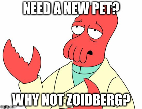 Futurama Zoidberg Meme | NEED A NEW PET? WHY NOT ZOIDBERG? | image tagged in memes,futurama zoidberg | made w/ Imgflip meme maker