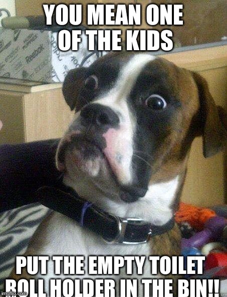 Lazy damn kids | YOU MEAN ONE OF THE KIDS PUT THE EMPTY TOILET ROLL HOLDER IN THE BIN!! | image tagged in funny | made w/ Imgflip meme maker