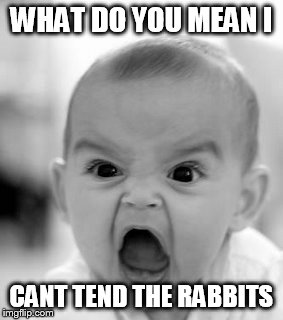 Angry Baby Meme | WHAT DO YOU MEAN I CANT TEND THE RABBITS | image tagged in memes,angry baby | made w/ Imgflip meme maker