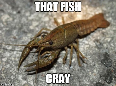 Cray Crayfish | THAT FISH CRAY | image tagged in cray crayfish,puns | made w/ Imgflip meme maker