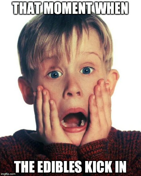Home Alone Scream | THAT MOMENT WHEN THE EDIBLES KICK IN | image tagged in home alone scream | made w/ Imgflip meme maker