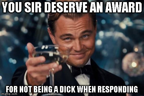 Leonardo Dicaprio Cheers Meme | YOU SIR DESERVE AN AWARD FOR NOT BEING A DICK WHEN RESPONDING | image tagged in memes,leonardo dicaprio cheers | made w/ Imgflip meme maker