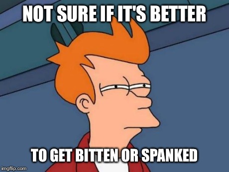 Futurama Fry Meme | NOT SURE IF IT'S BETTER TO GET BITTEN OR SPANKED | image tagged in memes,futurama fry | made w/ Imgflip meme maker