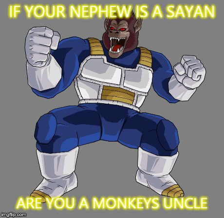 IF YOUR NEPHEW IS A SAYAN ARE YOU A MONKEYS UNCLE | image tagged in memes | made w/ Imgflip meme maker