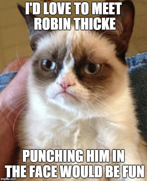 Grumpy Cat | I'D LOVE TO MEET ROBIN THICKE PUNCHING HIM IN THE FACE WOULD BE FUN | image tagged in memes,grumpy cat | made w/ Imgflip meme maker
