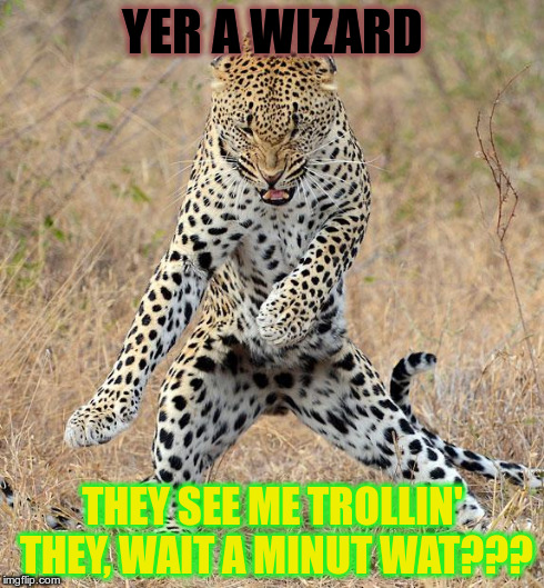 Leopard Dancing | YER A WIZARD THEY SEE ME TROLLIN' THEY, WAIT A MINUT WAT??? | image tagged in leopard dancing | made w/ Imgflip meme maker