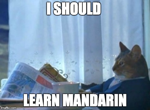 I Should Buy A Boat Cat | I SHOULD LEARN MANDARIN | image tagged in memes,i should buy a boat cat | made w/ Imgflip meme maker