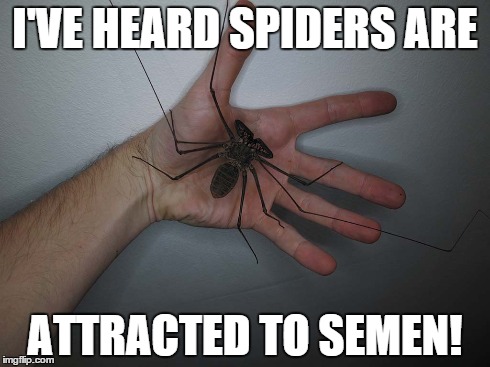 I'VE HEARD SPIDERS ARE ATTRACTED TO SEMEN! | image tagged in spiders,funny | made w/ Imgflip meme maker