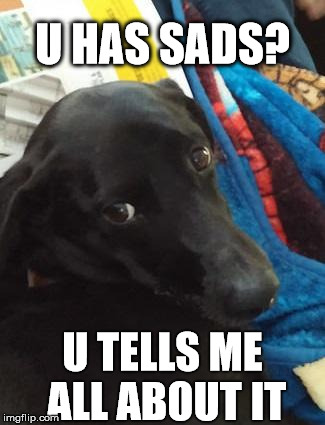 Dogs Make it All Better! | U HAS SADS? U TELLS ME ALL ABOUT IT | image tagged in doctor dachsador,dog | made w/ Imgflip meme maker