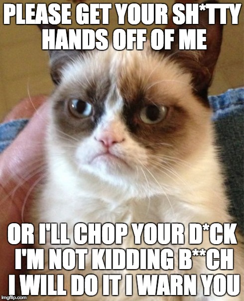 Grumpy Cat Meme | PLEASE GET YOUR SH*TTY HANDS OFF OF ME OR I'LL CHOP YOUR D*CK I'M NOT KIDDING B**CH I WILL DO IT I WARN YOU | image tagged in memes,grumpy cat | made w/ Imgflip meme maker