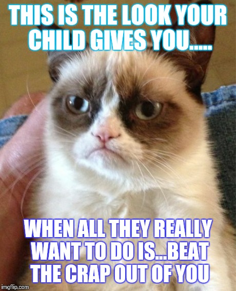 Grumpy Cat | THIS IS THE LOOK YOUR CHILD GIVES YOU..... WHEN ALL THEY REALLY WANT TO DO IS...BEAT THE CRAP OUT OF YOU | image tagged in memes,grumpy cat | made w/ Imgflip meme maker