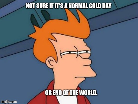 Futurama Fry | NOT SURE IF IT'S A NORMAL COLD DAY OR END OF THE WORLD. | image tagged in memes,futurama fry | made w/ Imgflip meme maker