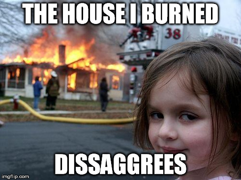 Disaster Girl Meme | THE HOUSE I BURNED DISSAGGREES | image tagged in memes,disaster girl | made w/ Imgflip meme maker