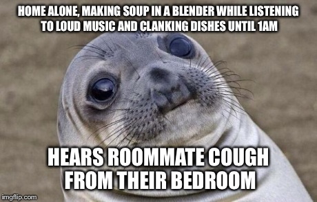 Awkward Moment Sealion Meme | HOME ALONE, MAKING SOUP IN A BLENDER WHILE LISTENING TO LOUD MUSIC AND CLANKING DISHES UNTIL 1AM HEARS ROOMMATE COUGH FROM THEIR BEDROOM | image tagged in memes,awkward moment sealion | made w/ Imgflip meme maker