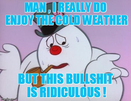 MAN , I REALLY DO ENJOY THE COLD WEATHER BUT THIS BULLSHIT IS RIDICULOUS ! | image tagged in frosty | made w/ Imgflip meme maker