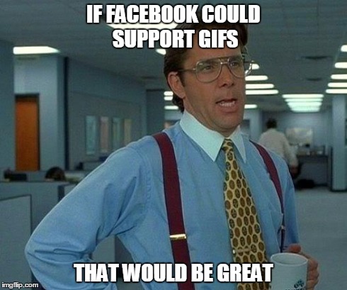 That Would Be Great Meme | IF FACEBOOK COULD SUPPORT GIFS THAT WOULD BE GREAT | image tagged in memes,that would be great | made w/ Imgflip meme maker