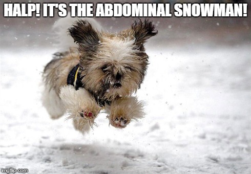 abdominal snowman puppy | HALP! IT'S THE ABDOMINAL SNOWMAN! | image tagged in snow | made w/ Imgflip meme maker