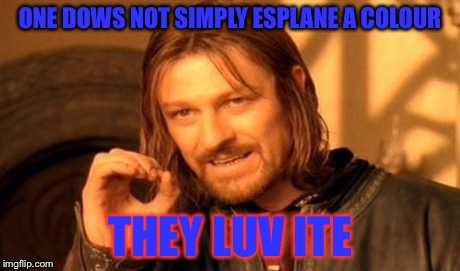 One Does Not Simply Meme | ONE DOWS NOT SIMPLY ESPLANE A COLOUR THEY LUV ITE | image tagged in memes,one does not simply | made w/ Imgflip meme maker