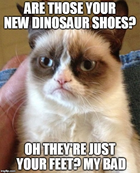 Grumpy Cat | ARE THOSE YOUR NEW DINOSAUR SHOES? OH THEY'RE JUST YOUR FEET? MY BAD | image tagged in memes,grumpy cat,vine | made w/ Imgflip meme maker