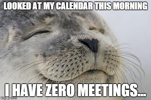 Satisfied Seal | LOOKED AT MY CALENDAR THIS MORNING I HAVE ZERO MEETINGS... | image tagged in memes,satisfied seal | made w/ Imgflip meme maker