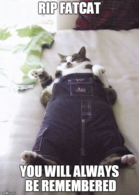 Fat Cat Meme | RIP
FATCAT YOU WILL ALWAYS BE REMEMBERED | image tagged in memes,fat cat | made w/ Imgflip meme maker
