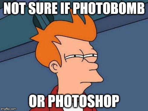 Futurama Fry Meme | NOT SURE IF PHOTOBOMB OR PHOTOSHOP | image tagged in memes,futurama fry | made w/ Imgflip meme maker
