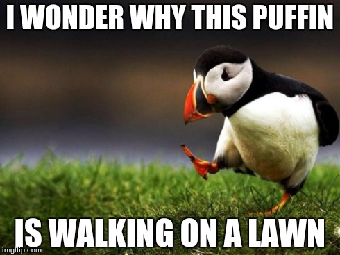Unpopular Opinion Puffin | I WONDER WHY THIS PUFFIN IS WALKING ON A LAWN | image tagged in memes,unpopular opinion puffin | made w/ Imgflip meme maker