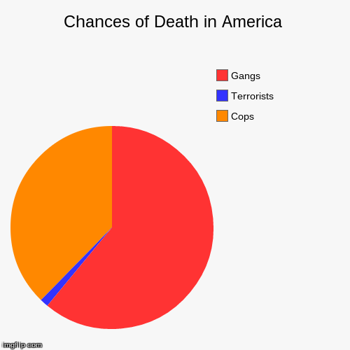 image tagged in funny,pie charts | made w/ Imgflip chart maker