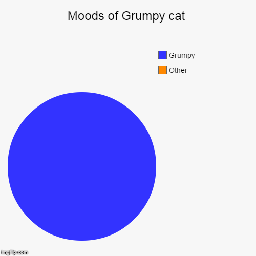 Moods of grumpy cat | image tagged in funny,pie charts,grumpy cat | made w/ Imgflip chart maker