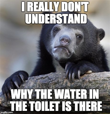 I feel really bad about not knowing. | I REALLY DON'T UNDERSTAND WHY THE WATER IN THE TOILET IS THERE | image tagged in memes,confession bear,toilet,water | made w/ Imgflip meme maker