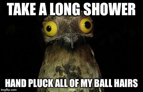 Weird Stuff I Do Potoo | TAKE A LONG SHOWER HAND PLUCK ALL OF MY BALL HAIRS | image tagged in memes,weird stuff i do potoo | made w/ Imgflip meme maker