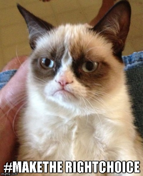 Grumpy Cat Meme | #MAKETHE RIGHTCHOICE | image tagged in memes,grumpy cat | made w/ Imgflip meme maker