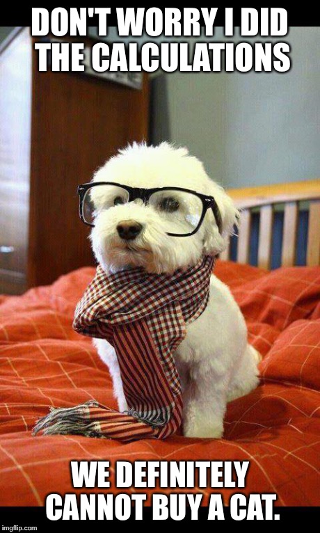 Intelligent Dog | DON'T WORRY I DID THE CALCULATIONS WE DEFINITELY CANNOT BUY A CAT. | image tagged in memes,intelligent dog | made w/ Imgflip meme maker