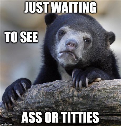 Confession Bear | JUST WAITING ASS OR TITTIES TO SEE | image tagged in memes,confession bear | made w/ Imgflip meme maker