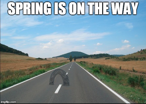 Spring is on the way | SPRING IS ON THE WAY | image tagged in spring,spring is coming,meme | made w/ Imgflip meme maker