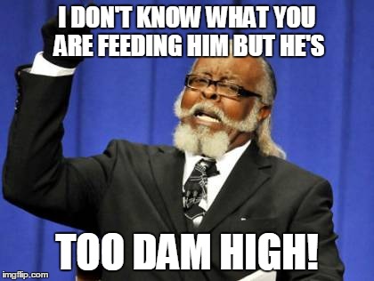 Too Damn High | I DON'T KNOW WHAT YOU ARE FEEDING HIM BUT HE'S TOO DAM HIGH! | image tagged in memes,too damn high | made w/ Imgflip meme maker