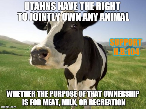 cow | UTAHNS HAVE THE RIGHT TO JOINTLY OWN ANY ANIMAL WHETHER THE PURPOSE OF THAT OWNERSHIP IS FOR MEAT, MILK, OR RECREATION SUPPORT H.B.104 | image tagged in cow | made w/ Imgflip meme maker