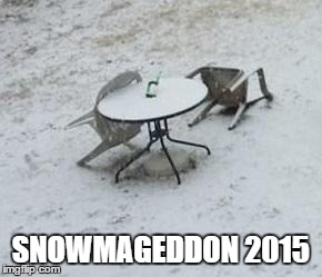 SNOWMAGEDDON 2015 | image tagged in snowmaggeddon 2015 | made w/ Imgflip meme maker