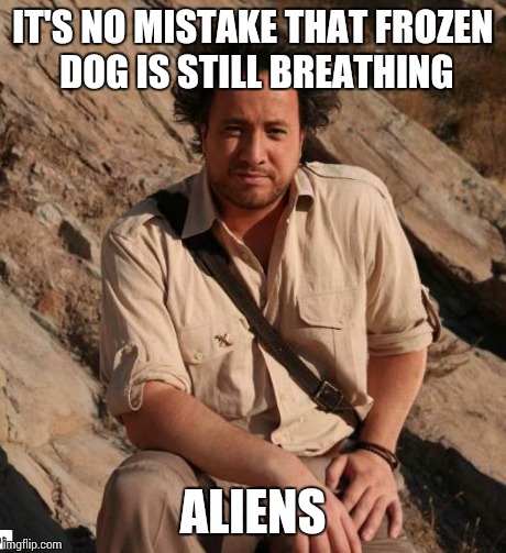 Ancient Aliens  | IT'S NO MISTAKE THAT FROZEN DOG IS STILL BREATHING ALIENS | image tagged in ancient aliens  | made w/ Imgflip meme maker