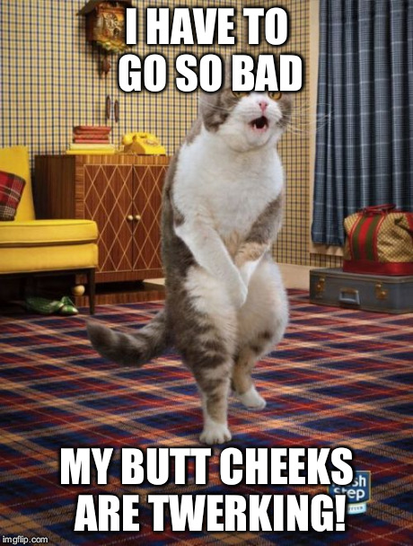 Gotta Go Cat Meme | I HAVE TO GO SO BAD MY BUTT CHEEKS ARE TWERKING! | image tagged in memes,gotta go cat | made w/ Imgflip meme maker