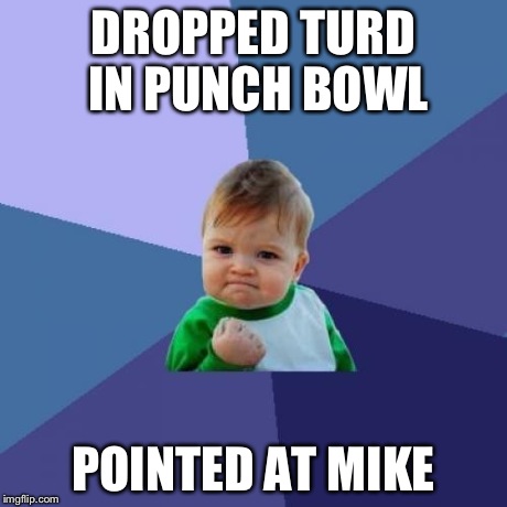 Success Kid Meme | DROPPED TURD IN PUNCH BOWL POINTED AT MIKE | image tagged in memes,success kid | made w/ Imgflip meme maker