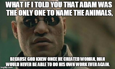 Matrix Morpheus Meme | WHAT IF I TOLD YOU THAT ADAM WAS THE ONLY ONE TO NAME THE ANIMALS, BECAUSE GOD KNEW ONCE HE CREATED WOMAN, MAN WOULD NEVER BE ABLE TO DO HIS | image tagged in memes,matrix morpheus | made w/ Imgflip meme maker