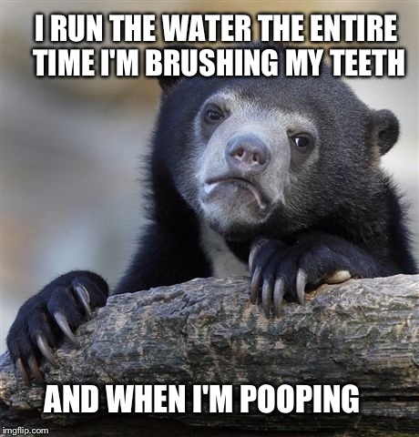 Confession Bear Meme | I RUN THE WATER THE ENTIRE TIME I'M BRUSHING MY TEETH AND WHEN I'M POOPING | image tagged in memes,confession bear | made w/ Imgflip meme maker