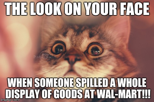 THE LOOK ON YOUR FACE WHEN SOMEONE SPILLED A WHOLE DISPLAY OF GOODS AT WAL-MART!!! | image tagged in cats,funny memes,walmart,hilarious,funny cat | made w/ Imgflip meme maker