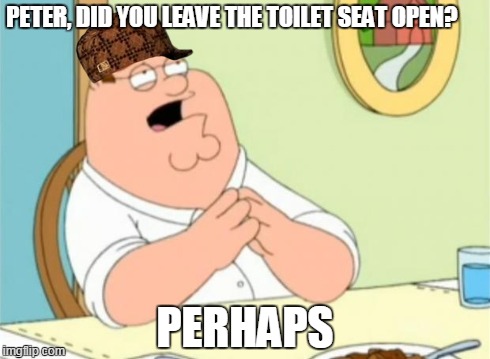 Peter Griffin perhaps | PETER, DID YOU LEAVE THE TOILET SEAT OPEN? PERHAPS | image tagged in peter griffin perhaps,scumbag | made w/ Imgflip meme maker