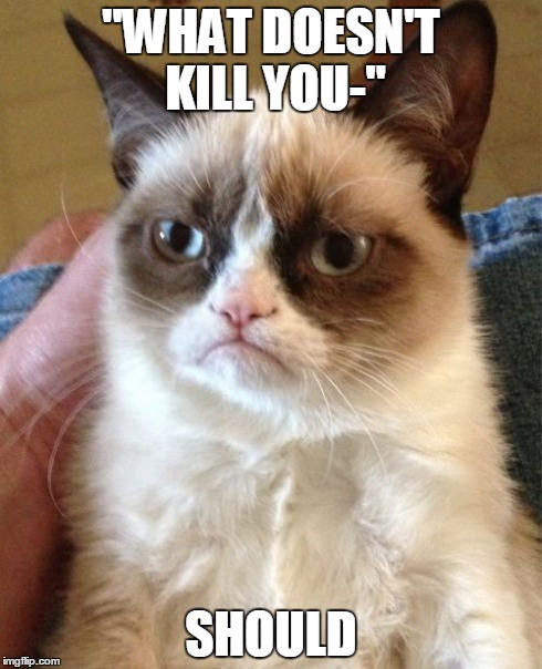 Grumpy Cat | "WHAT DOESN'T KILL YOU-" SHOULD | image tagged in memes,grumpy cat | made w/ Imgflip meme maker